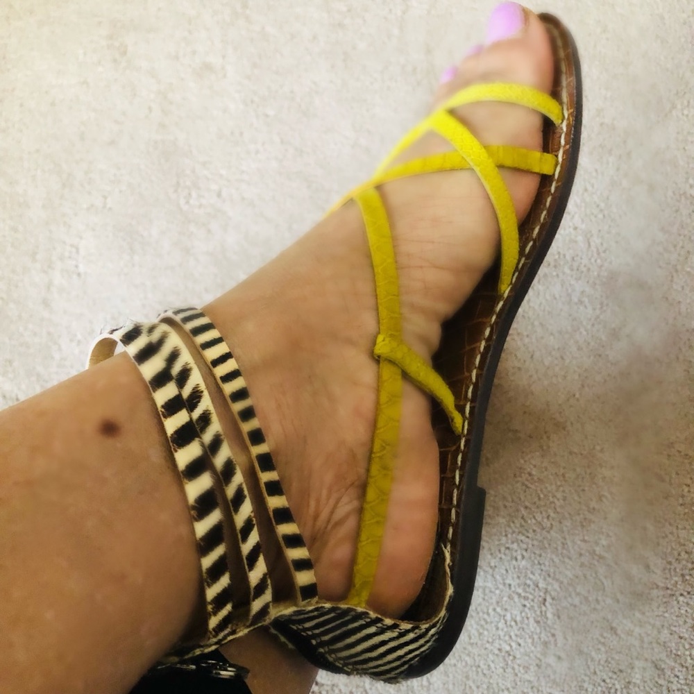 Sam Eldelman Summer Sandals - Picture 8 of 11